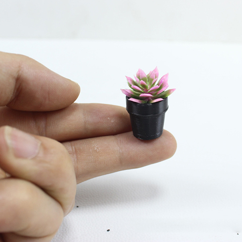 8 ชิ้น ต้นไม้กระถางพลาสติกจิ๋ว - Echeveria Succulent บทวิจารณ์และราคา